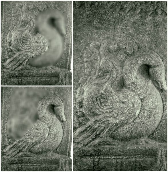 File:Fig 3- Peacock Sculpture.jpg