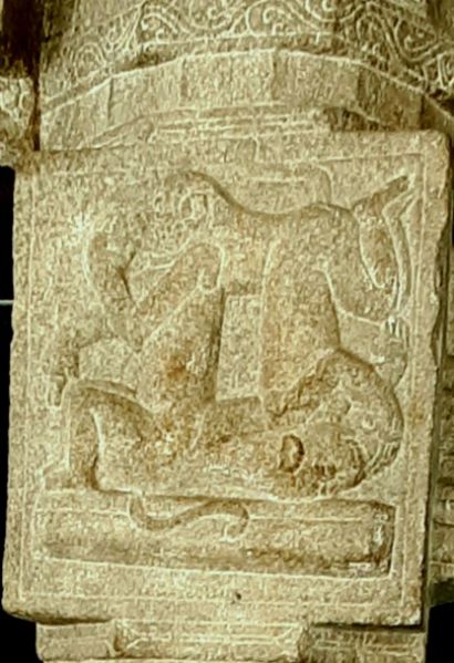 File:Monkey.jpg